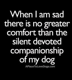 So true! Love my fur babies