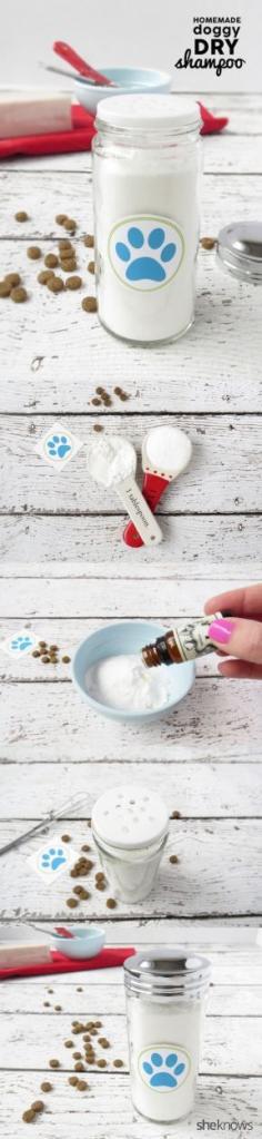 How to make a Dry Shampoo for Dogs with just 3 simple ingredients. Great to use in between dog baths! Directions:      In a mixing bowl, combine 3 tablespoons of baking soda, 3 tablespoons of cornstarch and 6 drops of vanilla fragrance oil.     Place the doggy label on the salt and pepper shaker.