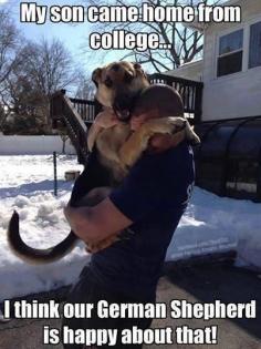 This is exactly how my German Shepard greets me whenever I come home for a visit