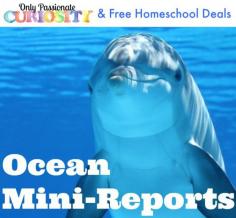 
                    
                        FREE Ocean Mini Reports for kids in 2nd-4th grades!
                    
                