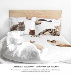 Cat ladies rejoice! The Club of Odd Volumes