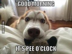 hahahaha pee o clock!!!