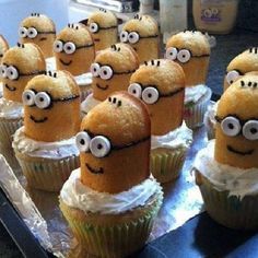 
                    
                        Cut Twinkies in half. Place one half with the rounded side facing up into the middle of the icing on each cupcake. Cut mini marshmallows in half and attach them to the face of each minion using a dot of icing for the eyes. Draw hair, a mouth and glasses on each face using black icing.
                    
                