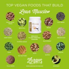 
                    
                        Top Vegan Muscle Foods Square
                    
                