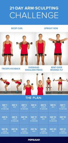 
                    
                        After following this 21-day arm plan, not only will your arms look toned — you'll also be stronger.
                    
                