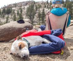 
                    
                        Noblecamper 2-in-1 Ultralight Travel #DogBed and #SleepingBag  Let your pet sleep in comfort!
                    
                