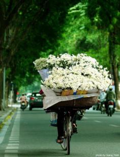 Follow that bicycle!!! He has daisies!