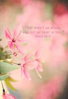 Psalm 56:3 8x10 Fine Art Bible Verse But when I am afraid I will