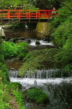 Kyoto Japan Notice the heron at base of photo // The Bridge and the Heron | Flickr - Photo Sharing!