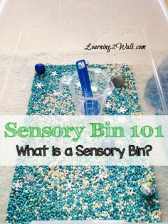 Sensory Bin 101
