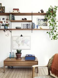 Wood // Green // Plant // Rack // Interior