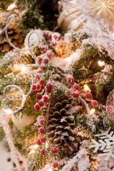 pinecones and holly berries | Flickr - Photo Sharing!