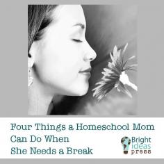 Four Things a Homeschool Mom Can Do When She Needs a Break