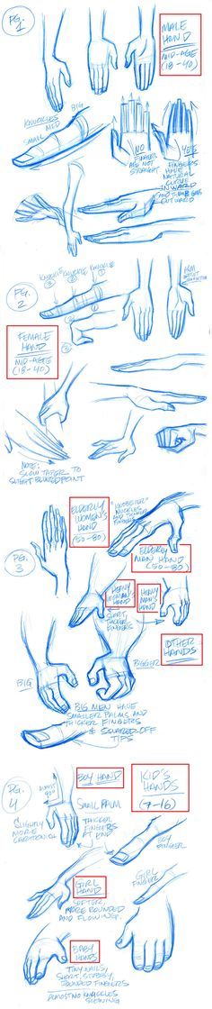 
                    
                        Stylized Hands model sheets by tombancroft on deviantART                         This is awesome! I&#39;m so going to need this!
                    
                