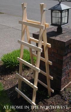 
                    
                        $10 in supplies to make a simple trellis... my cucumbers need this... maybe not so tall, though.
                    
                