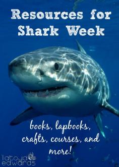 
                    
                        Are you looking for some resources for shark week? Here's a collection of books, crafts, live courses and more! A great way to add to your science or nature studies this homeschool year. Or just have fun learning about these sea creatures!
                    
                