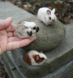 Mini Easter Lop Ear baby Bunny Rabbit. —   https://www.facebook.com/AmazingFactsandNature1?fref=nf