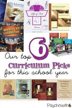 Our Top Six Homeschool Curriculum Picks - elementary, middle school, and high school reviews
