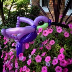 Day 302: #Hummingbird #Balloons #BalloonAnimals #Birds #Wildlife