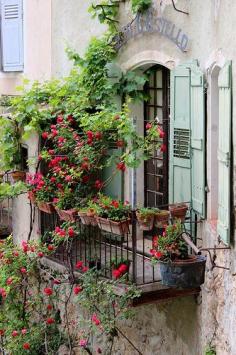 Blooms in balcony... Moustiers-Ste-Marie ~ France