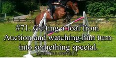 
                    
                        Competing in your first Grand Prix on a horse you grew up with. #horse #equestrian
                    
                