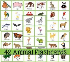 Use these flash cards for a lot of fun learning! Use to learn animal names, alphabetize, sort by habitat, type of animal, etc! Have fun teaching! Download Club members can download @ http://www.christianhomeschoolhub.com/pt/Zoology-General-Teaching-Resources/wiki.htm