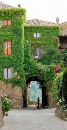 Ivy Arch, Provence, France by Olivia Taylor