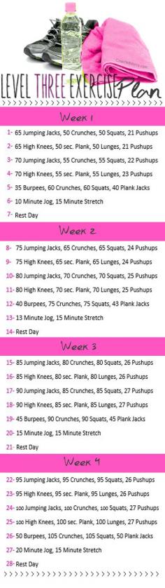 To Insanity & Back: Level THREE Exercise Plan