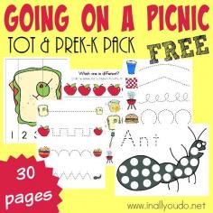 Little ones will have fun learning about picnics with these SUPER CUTE Picnic Tot & PreK-K pack activities! 30 total pages :: inallyoudo.net