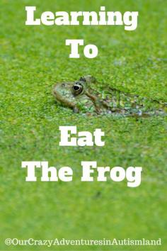 Learning to eat the frog is a great skill to ward off the bad habit of procrastination