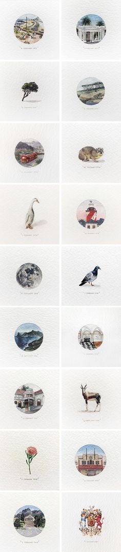 
                    
                        Postcards for Ants: A 365-Day Miniature Painting Project by Lorraine Loots
                    
                