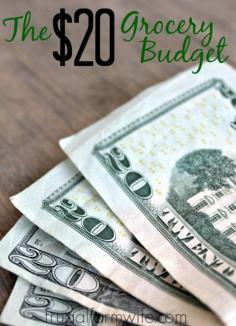 You CAN feed yourself for just $20 a week with healthy, gluten-free food. This shopping list includes meal plan ideas. You really can do it!! grocery budgets