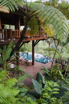 Pool with wooden deck #jungle