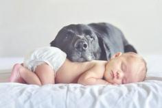 A dog and his baby. Thought of my best friend when I saw this. I love this!