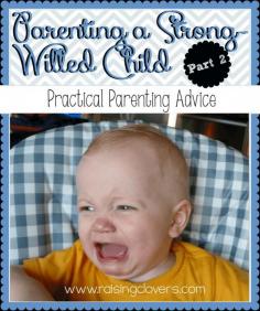 
                    
                        Parenting a Strong-Willed Child: Practical Parenting Advice
                    
                