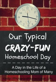 Our {Crazy Fun} Typical Homeschool Day