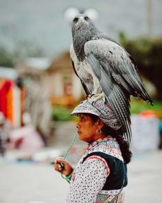 The Eagle in Yanque, Peru.