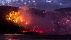 
                    
                        "British Columbia Wildfires: Premier Blames Climate Change"
                    
                
