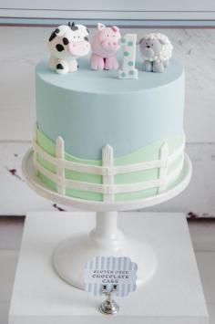 Farm themed 1st birthday cake