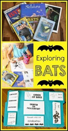 
                    
                        Exploring Bats ~ Bat Lapbook and Unit Study
                    
                