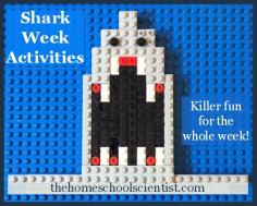 Who doesn't love Shark Week? Well, I don't when I'm at the beach, but here are some safe Shark Week Activities for you and your kids to enjoy.