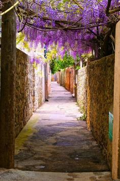 Saint Tropez - Flickr