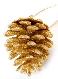 
                    
                        so much fun to make these. Make glitter pine cone decorations.
                    
                