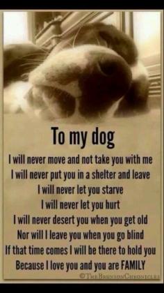 AMEN!!! I love my dogs more than anything. This made me cry to read because it's so true that I would do anything for them.