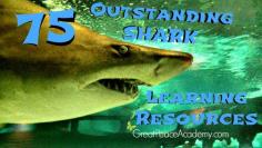 
                    
                        75 Shark Learning Resources that will make you squeal! #sharkweek at Great Peace Academy
                    
                