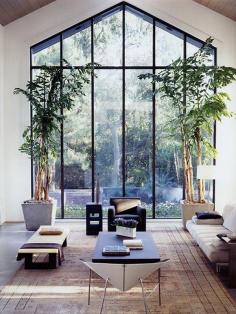 Plants in a living room. #home #house #interiordesign