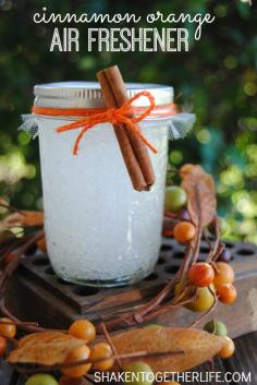 Make a Cinnamon Orange Air Freshener - a great Fall gift idea! It smells just like Autumn! #DIY #gifts