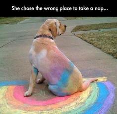 Sidewalk chalk rainbow dog