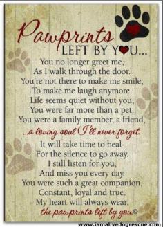 Pawprints left by you. In Loving Memory of our family dog Katie❤ You are in our hearts! Thinking of my lost furry friend as well! Scrapie I Hope you was found by a Loving  Person and You my dear kitty are always in my heart❤