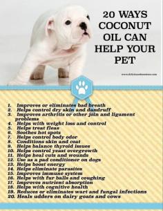 Coconut Oil for Pets